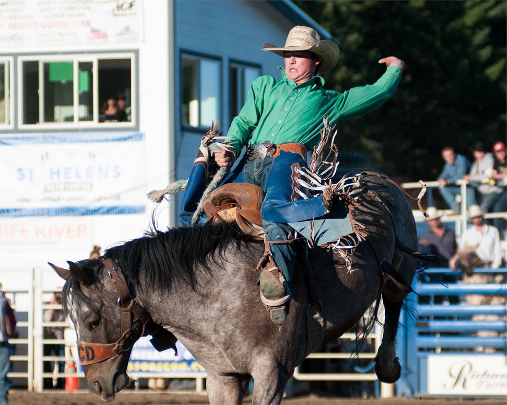 Coffs Rodeo Photo Gallery Detail