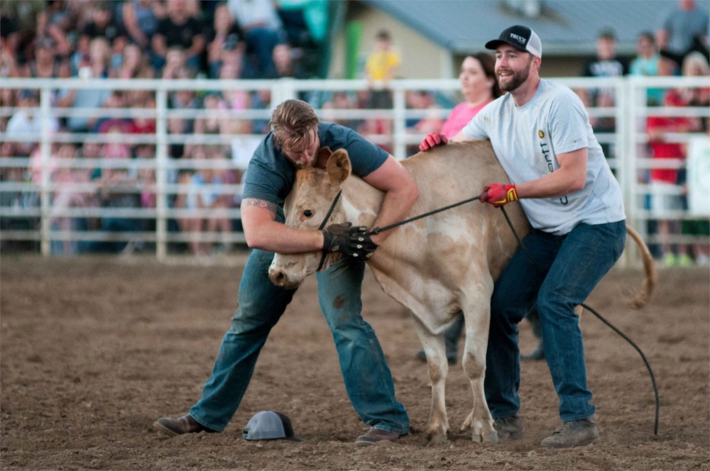 Coffs Rodeo Photo Gallery Detail