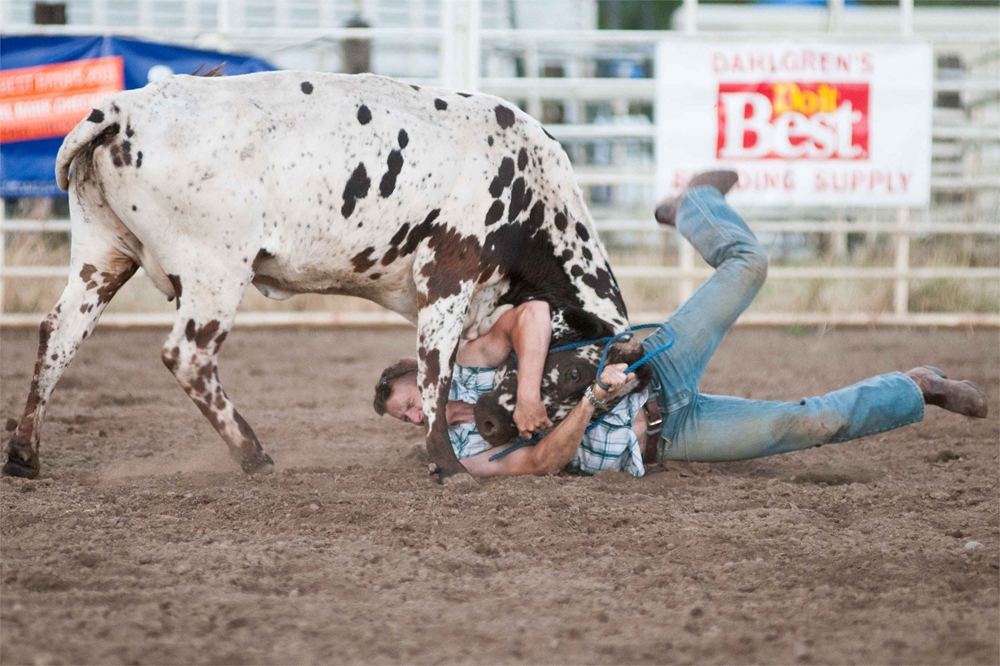 Tofield Rodeo Photo Gallery Detail