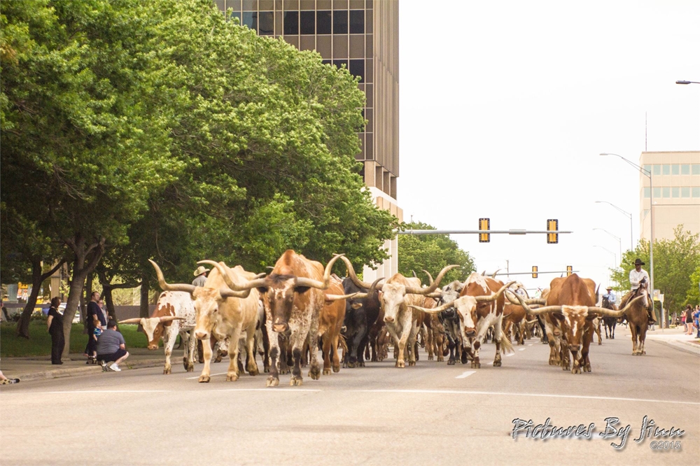 2015 Coors Cowboy Club Cattle Drive 