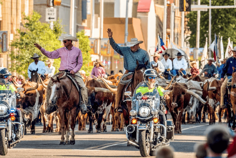 Rev Cow Ride Comp Rt. 66 Cattle Drive