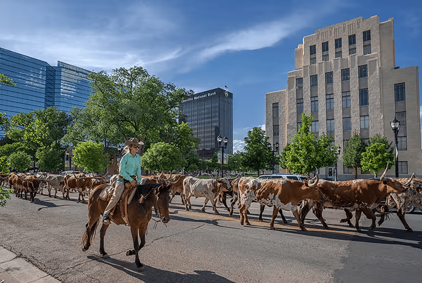 Rev Cow Ride Comp Rt. 66 Cattle Drive