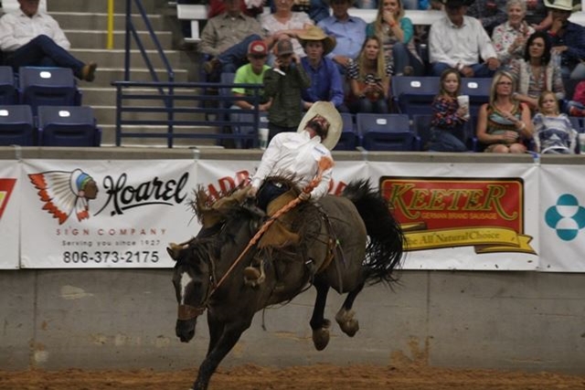 Photo Gallery Detail