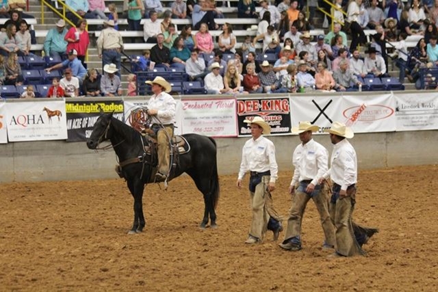 Photo Gallery Detail