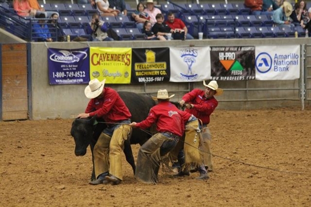 Photo Gallery Detail