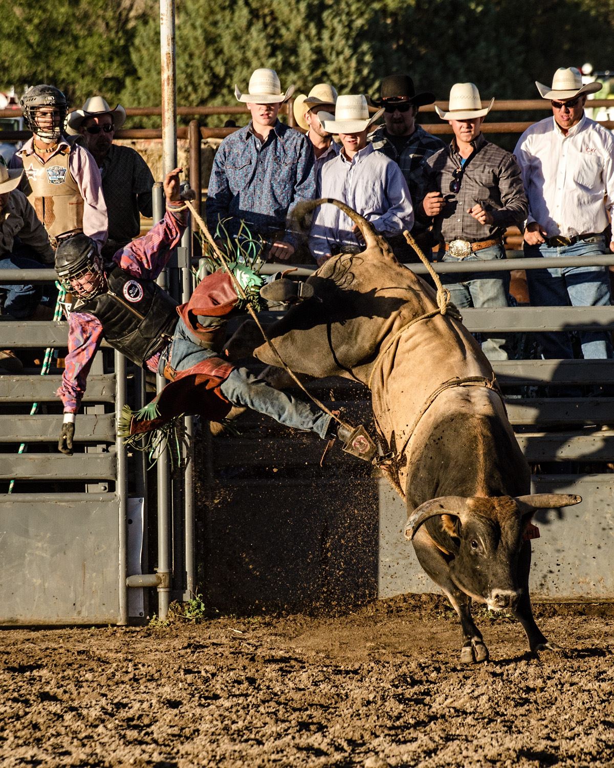 Jim Boudreau Rodeo Photo Gallery & Credits