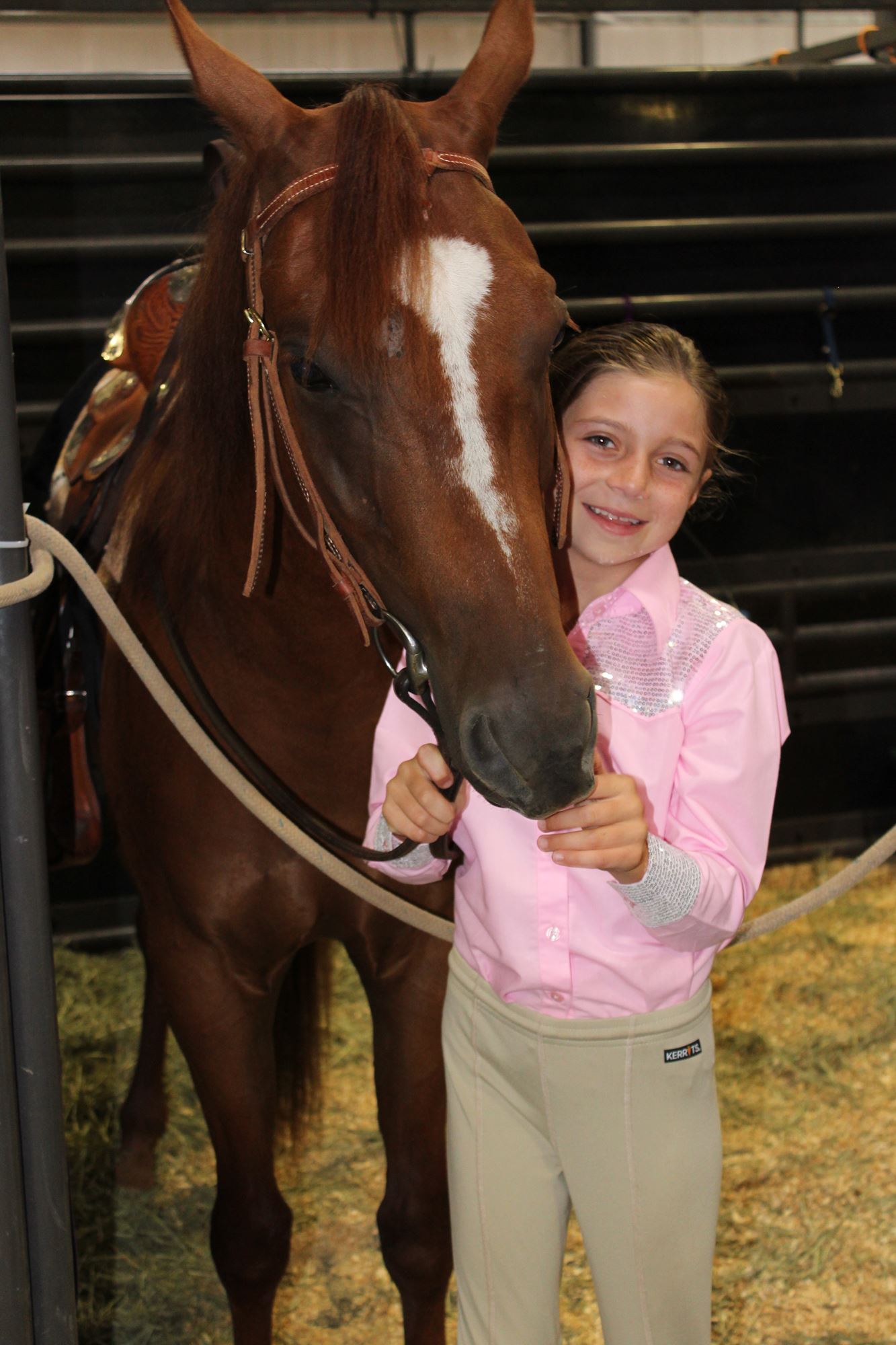4-H Horse & Pony Education Committee