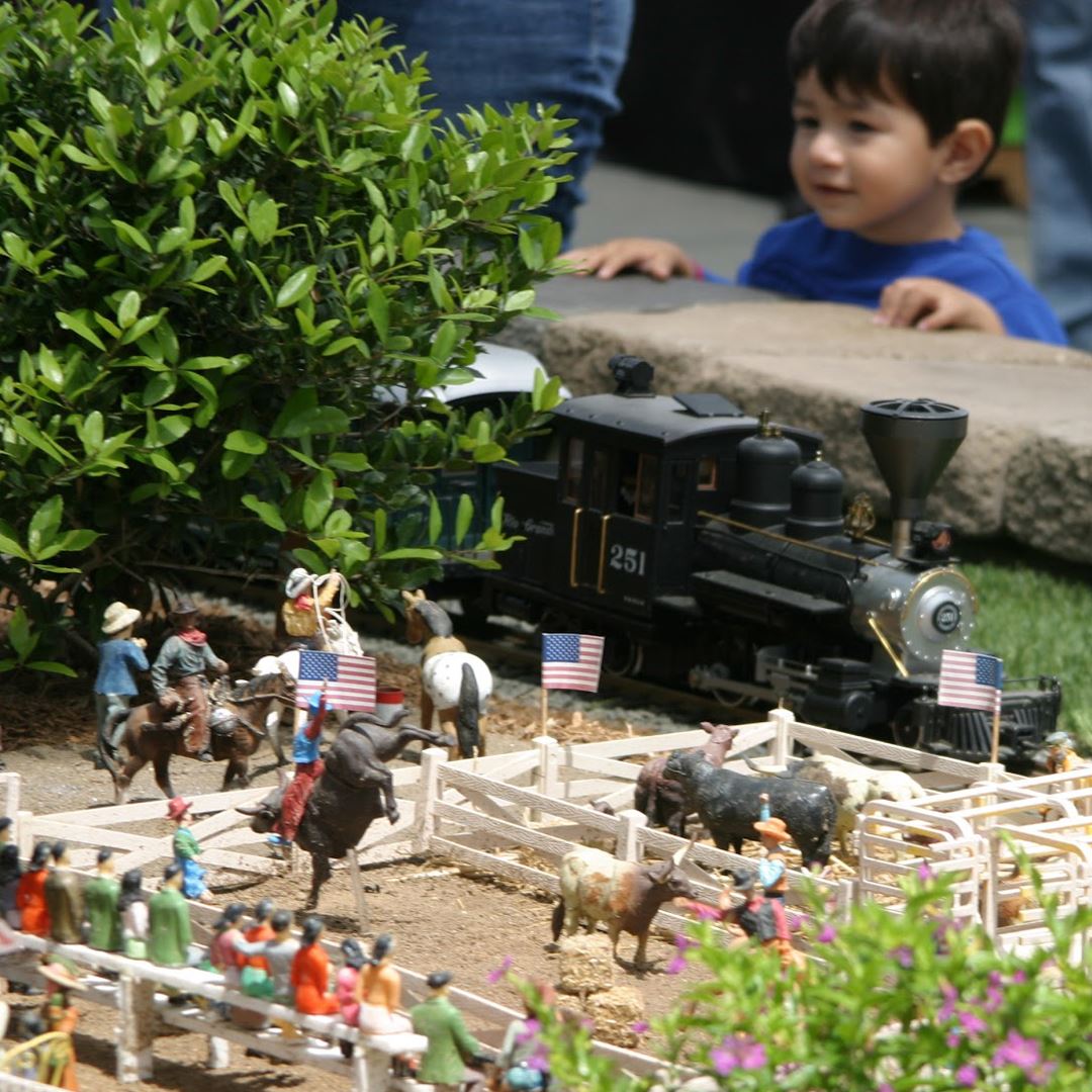Great Train Show