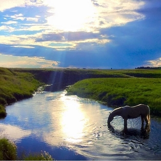Dickinson, ND | Indian Creek Wildlife Management Area
