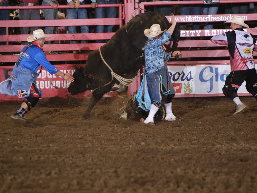 Djibb Rodeo Photo Gallery Detail