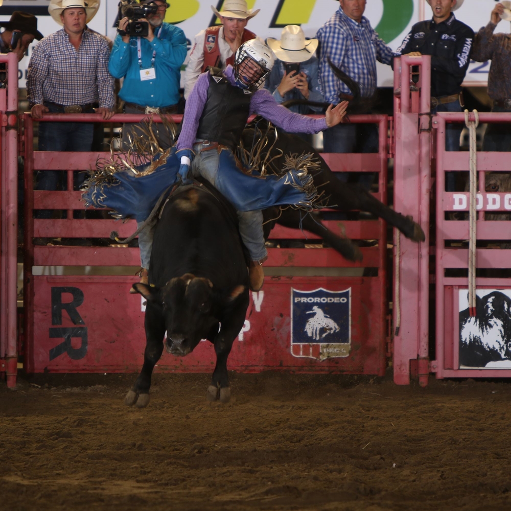 Laidely Showgrounds Rodeo Photo Gallery Detail