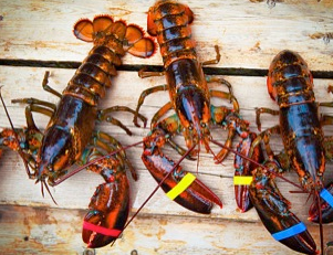 Featured Attractions