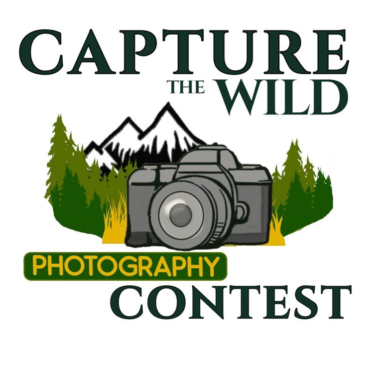 Sportsmen's Photo Contest