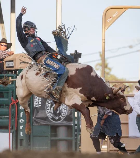 Rodeo