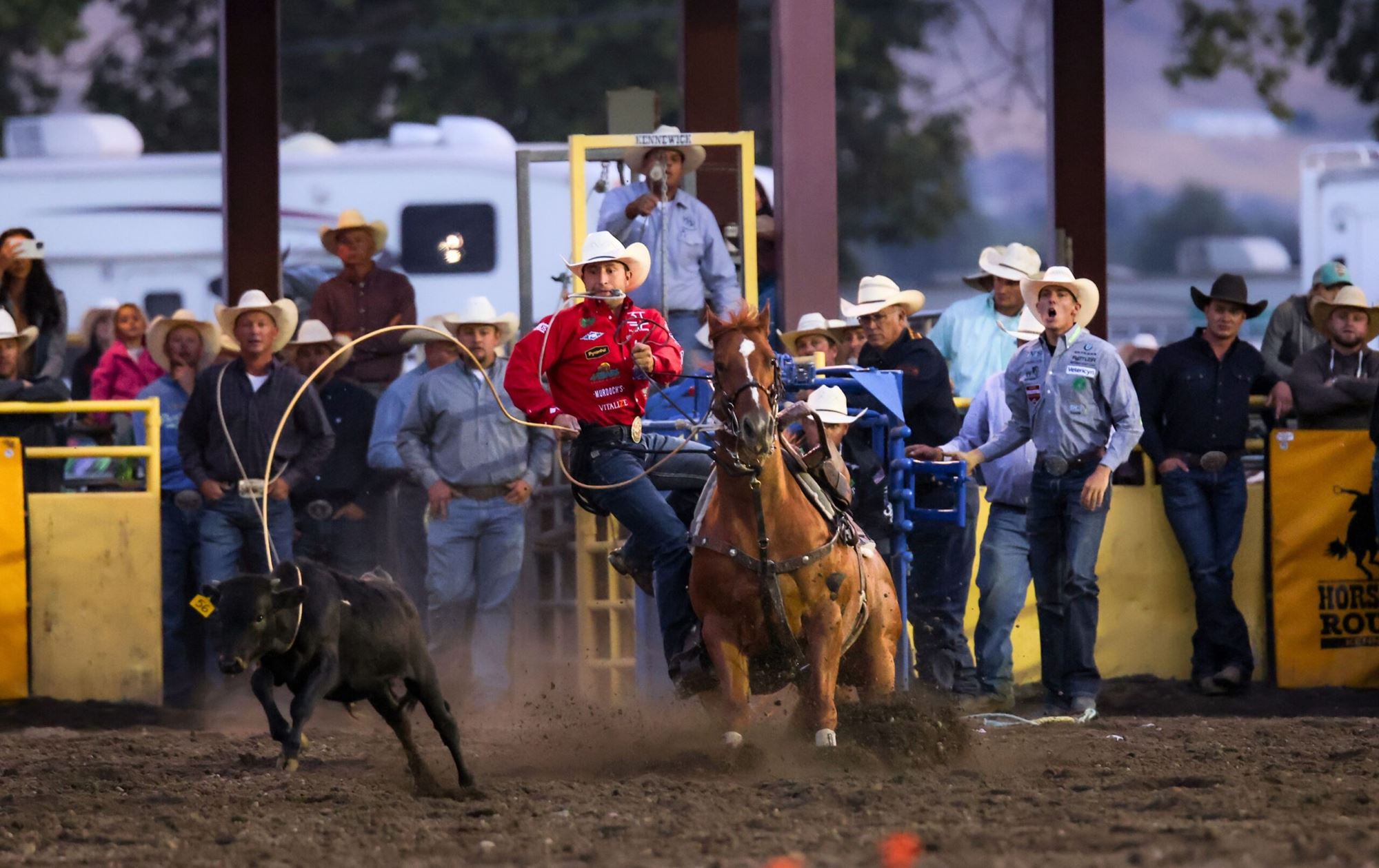Attractions and Exhibits | East Texas State Fair