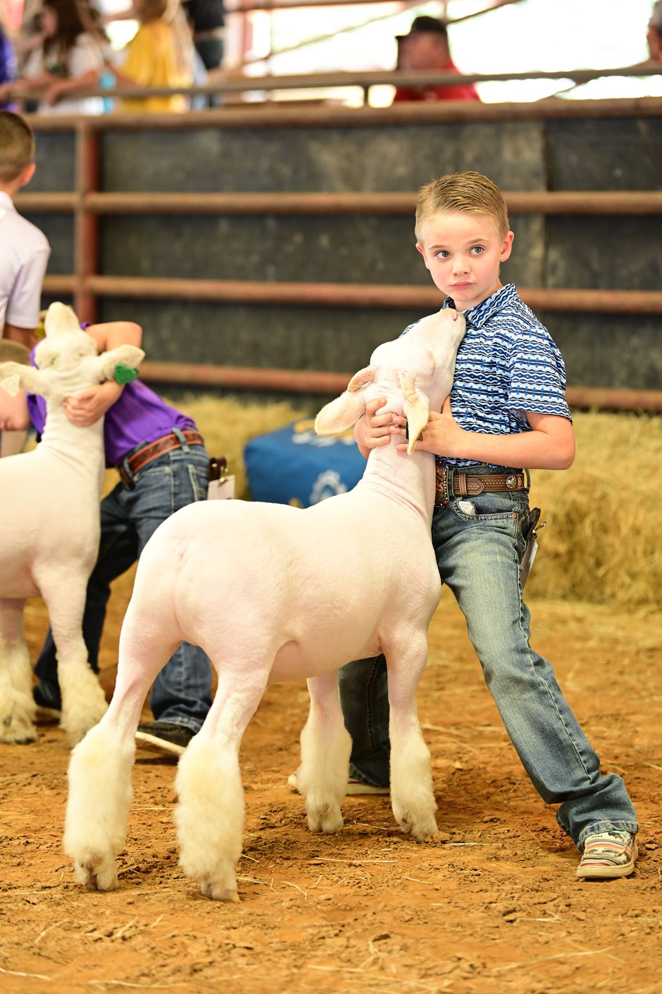 Livestock Show East Texas State Fair livestock-show-east-texas-state-fair