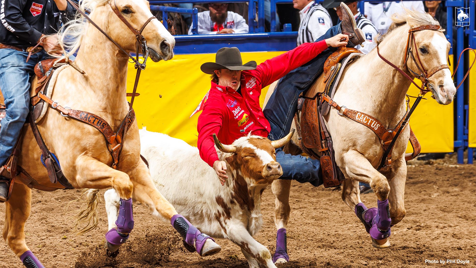 Jason Brown Rodeo Rodeo