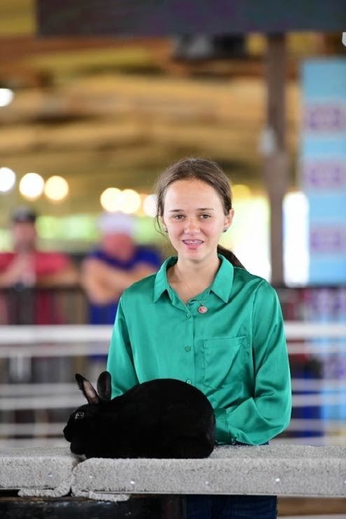 Green Rabbit Show Photo Gallery Detail