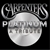 Carpenters Platinum - A Tribute