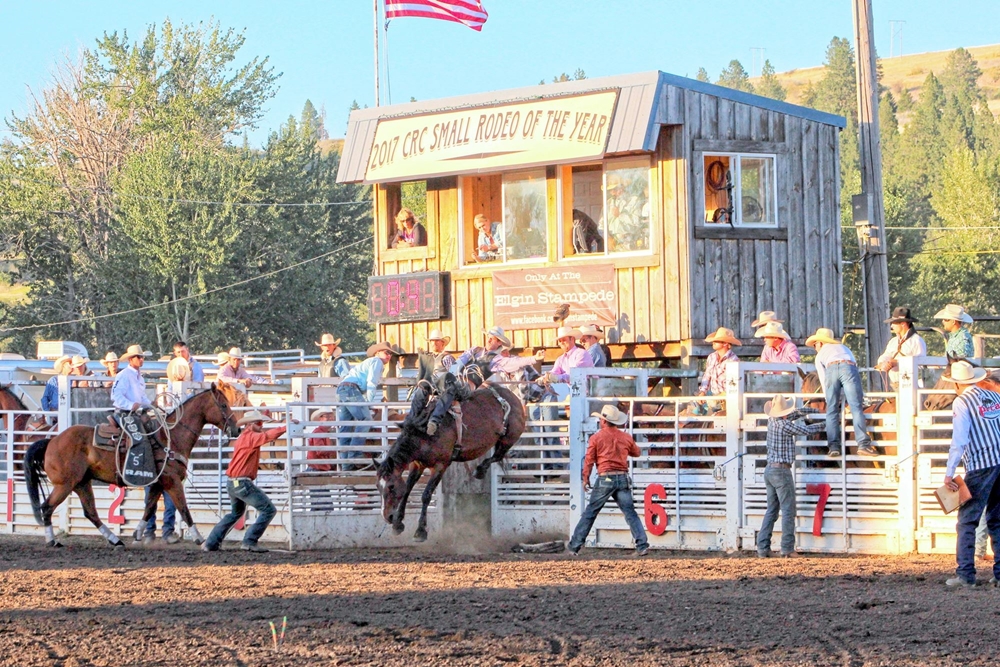 Photo Gallery Detail Photo Gallery Detail