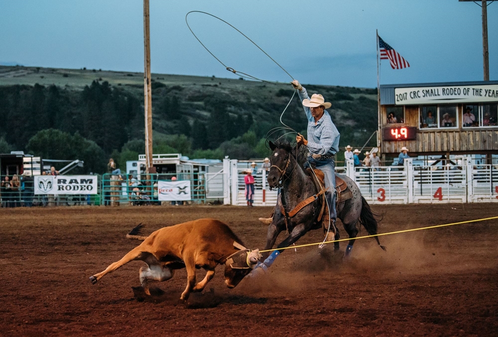 Heavner Rodeo Ark Photo Gallery Detail
