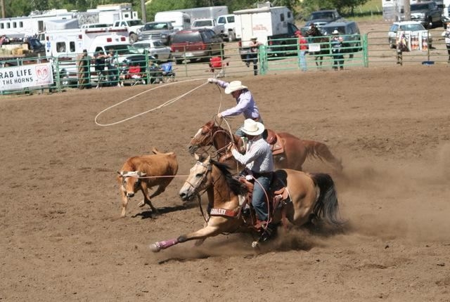 Good Job Roping Photo Gallery Detail