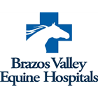 Brazos Valley Equine Hospitals