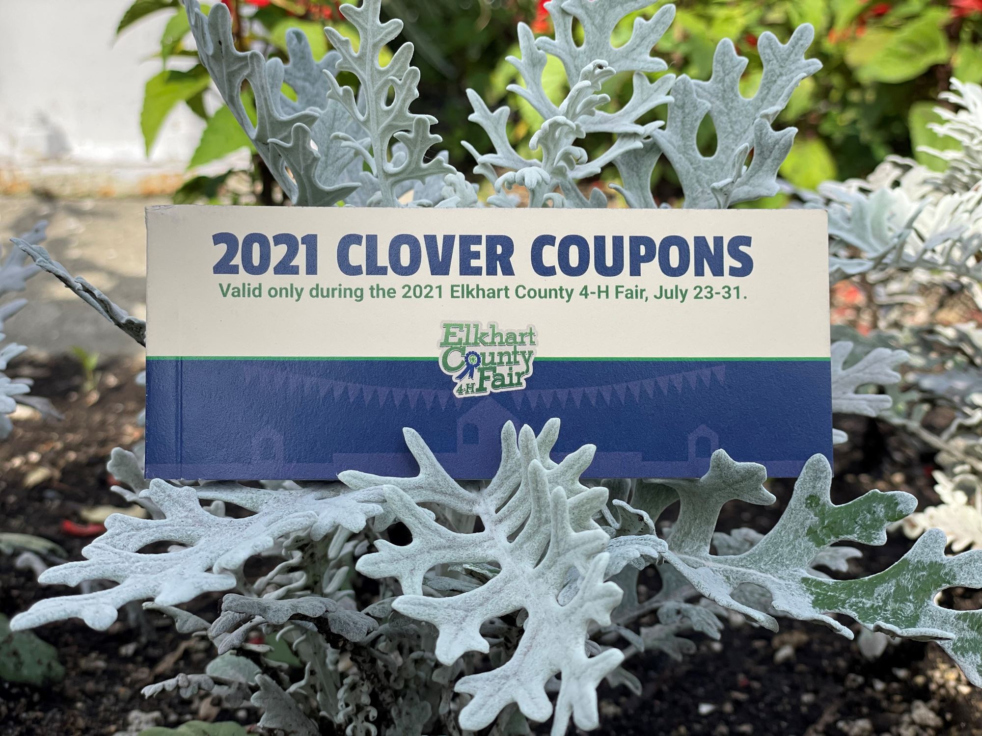 Clover Coupons