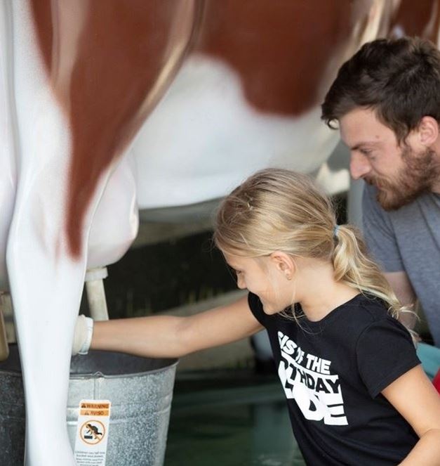 Little girl milking a fake dairy cow