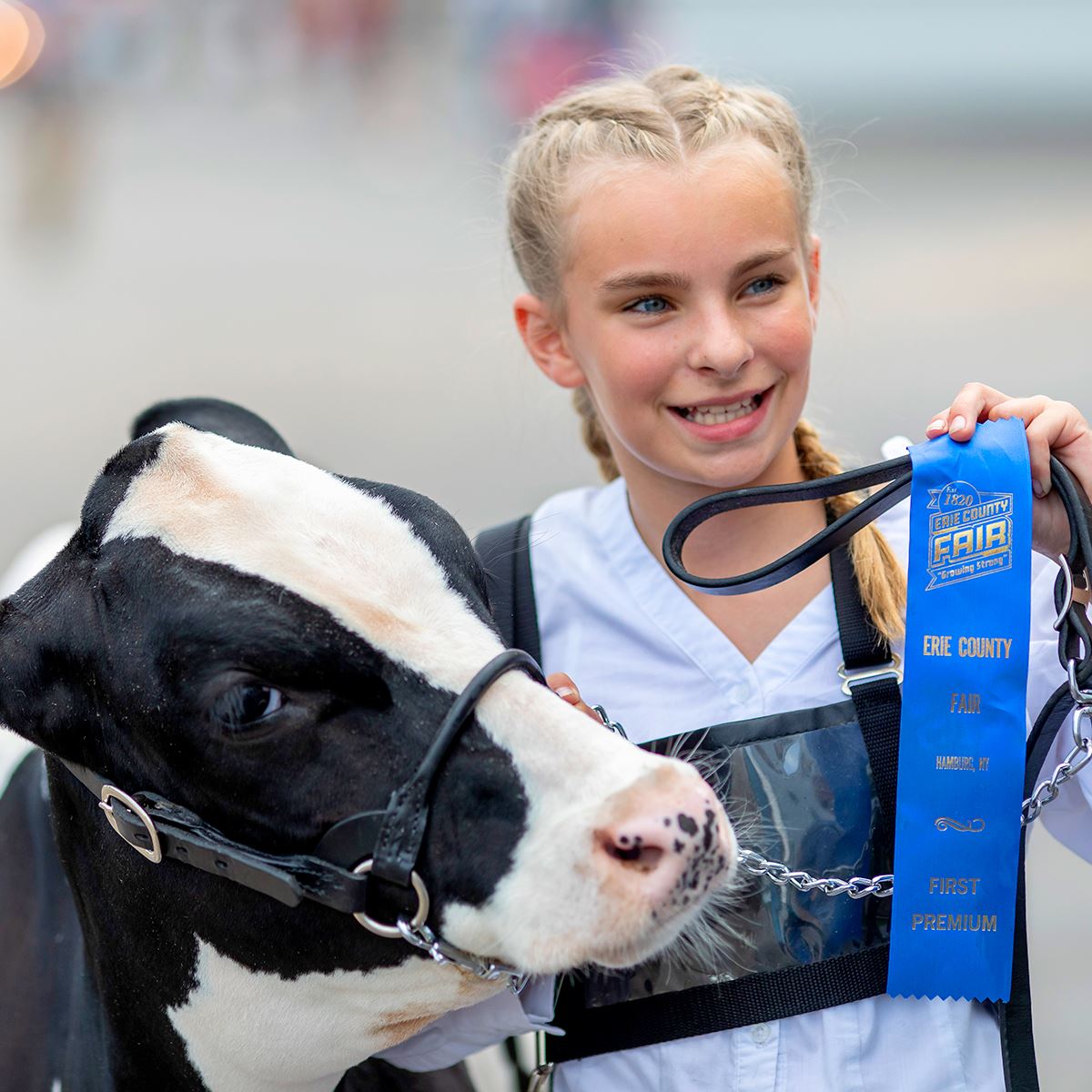 Girl holding her blue ribbon and her dairy heifer