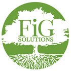 FiG Solutions