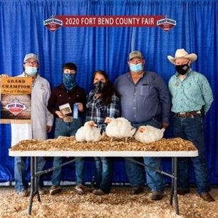 Broiler Show 2022 Fort Bend County Fair Broilers