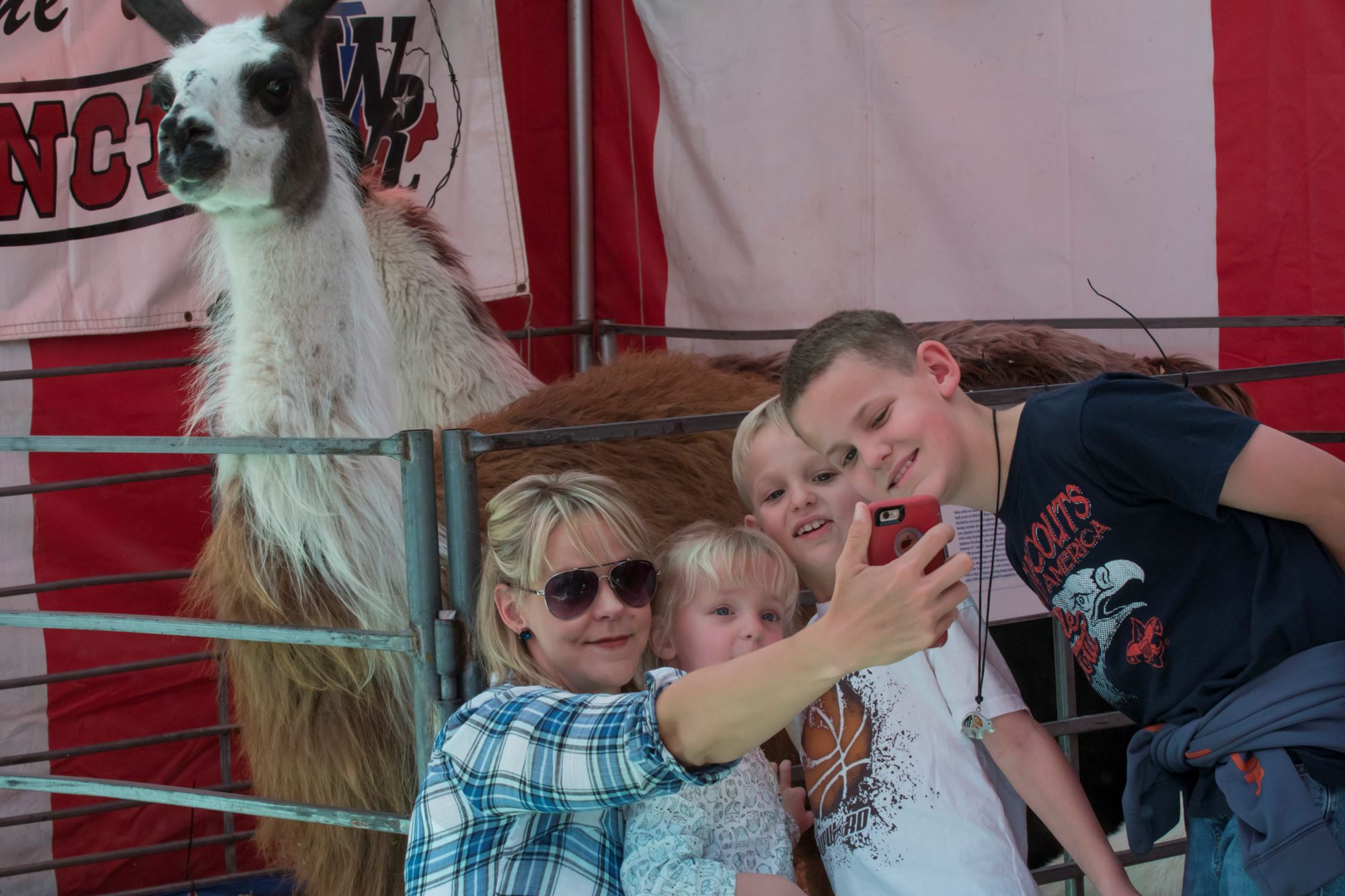 Petting Zoo & Pony Ride Petting Zoo & Pony Ride