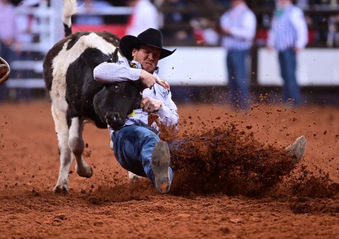 Little Pro Rodeo prorodeo tournament
