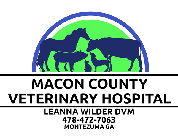 Georgia National Rodeo