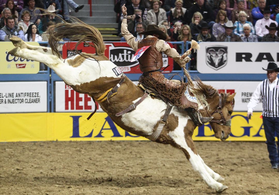 Pro Bronc Riding Goshen Stampede Presents Pro Rodeo