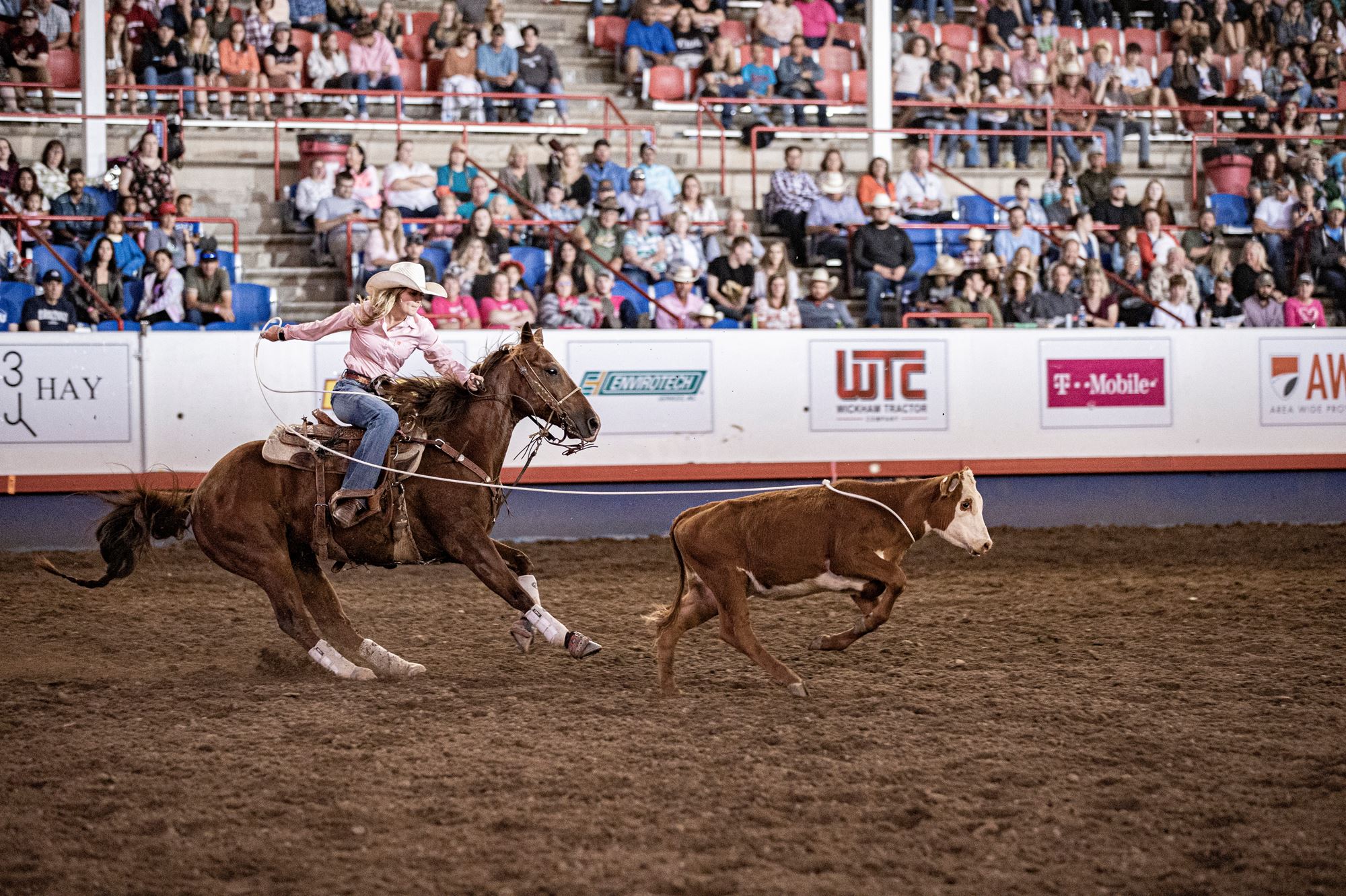 PRCA Rodeo - 4