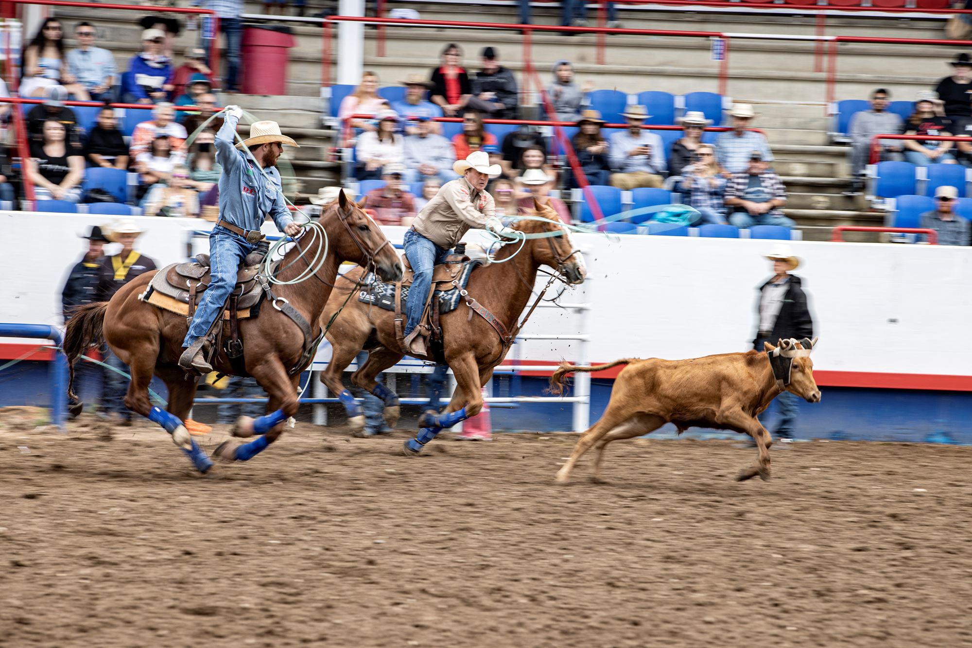 PRCA Rodeo - 3