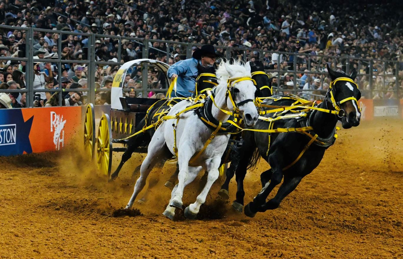 Prca Rodeo Springfield PRCA Rodeo Series