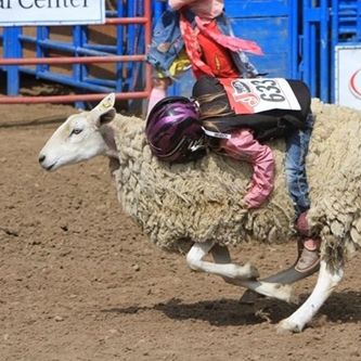 Kids Rodeo applications now available
