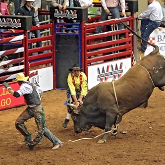 All American ProRodeo Finals