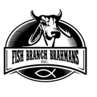 Fish Branch Brahmans