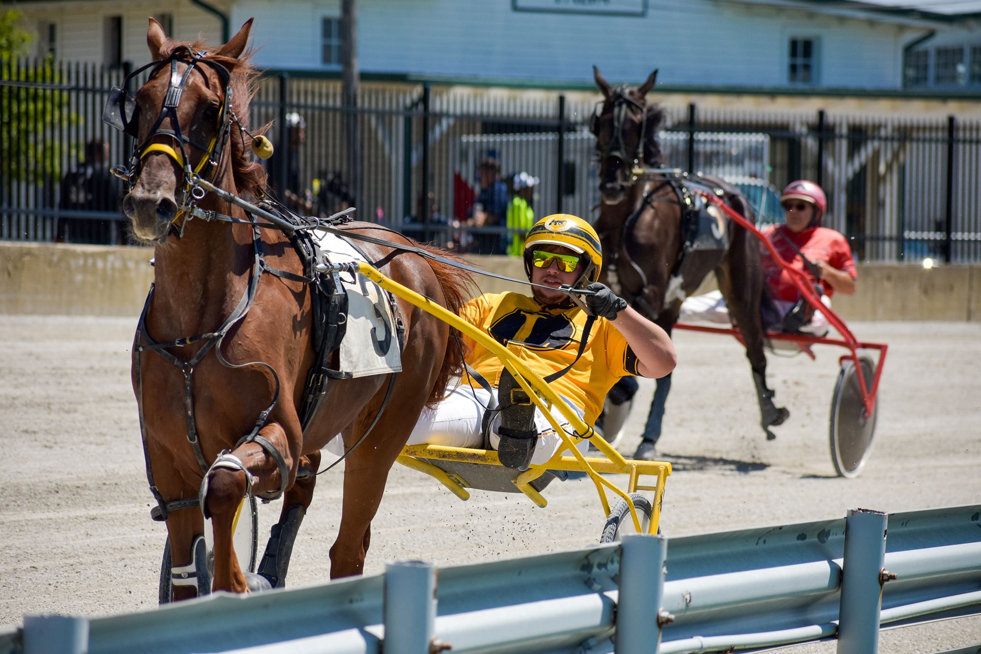 Harness Racing: Indiana State Fair Governor's Cup Series Finals