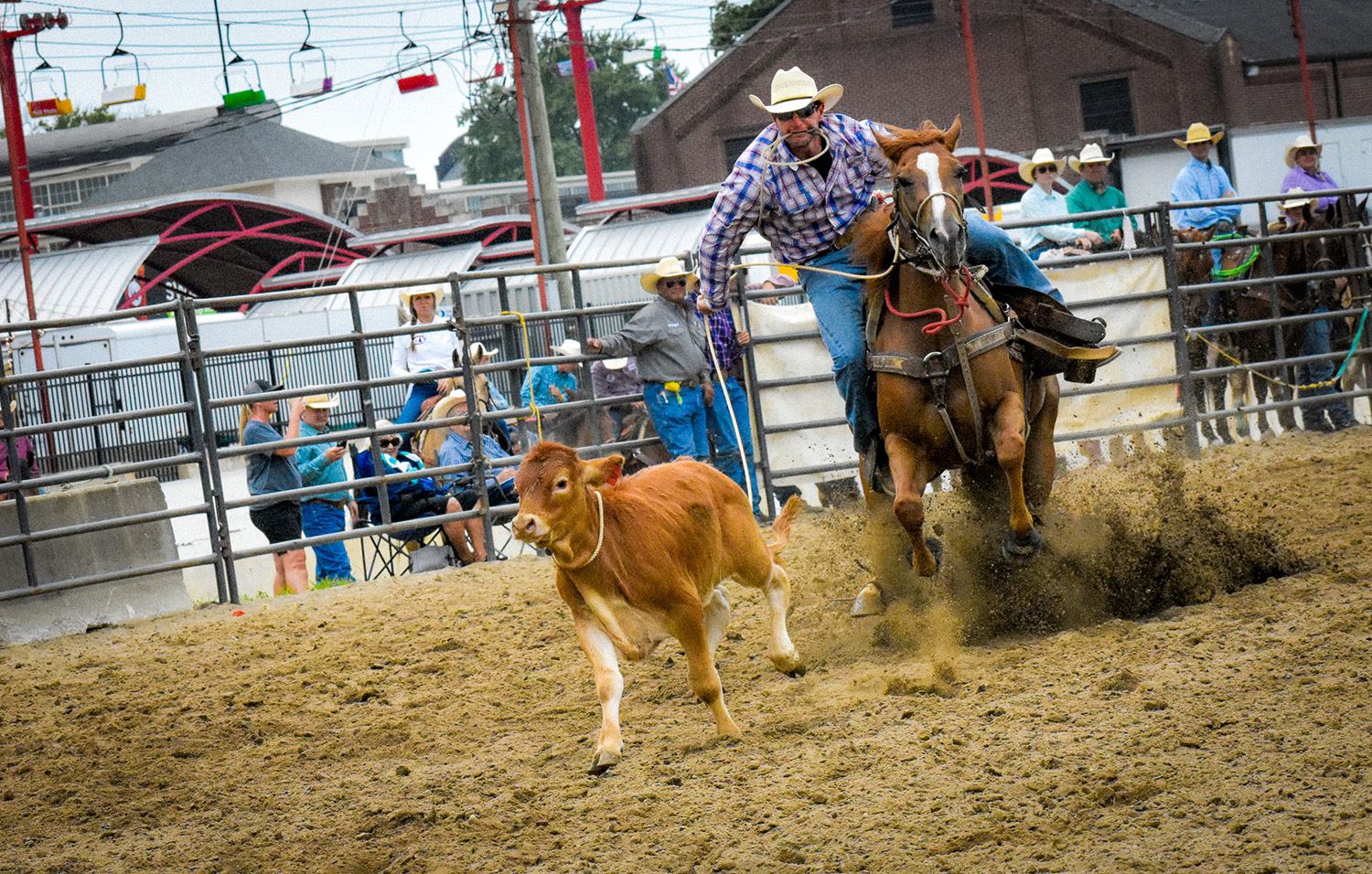 Adams Rodeo Indiana Hoosier Lottery Grandstand Events at Indiana State Fair