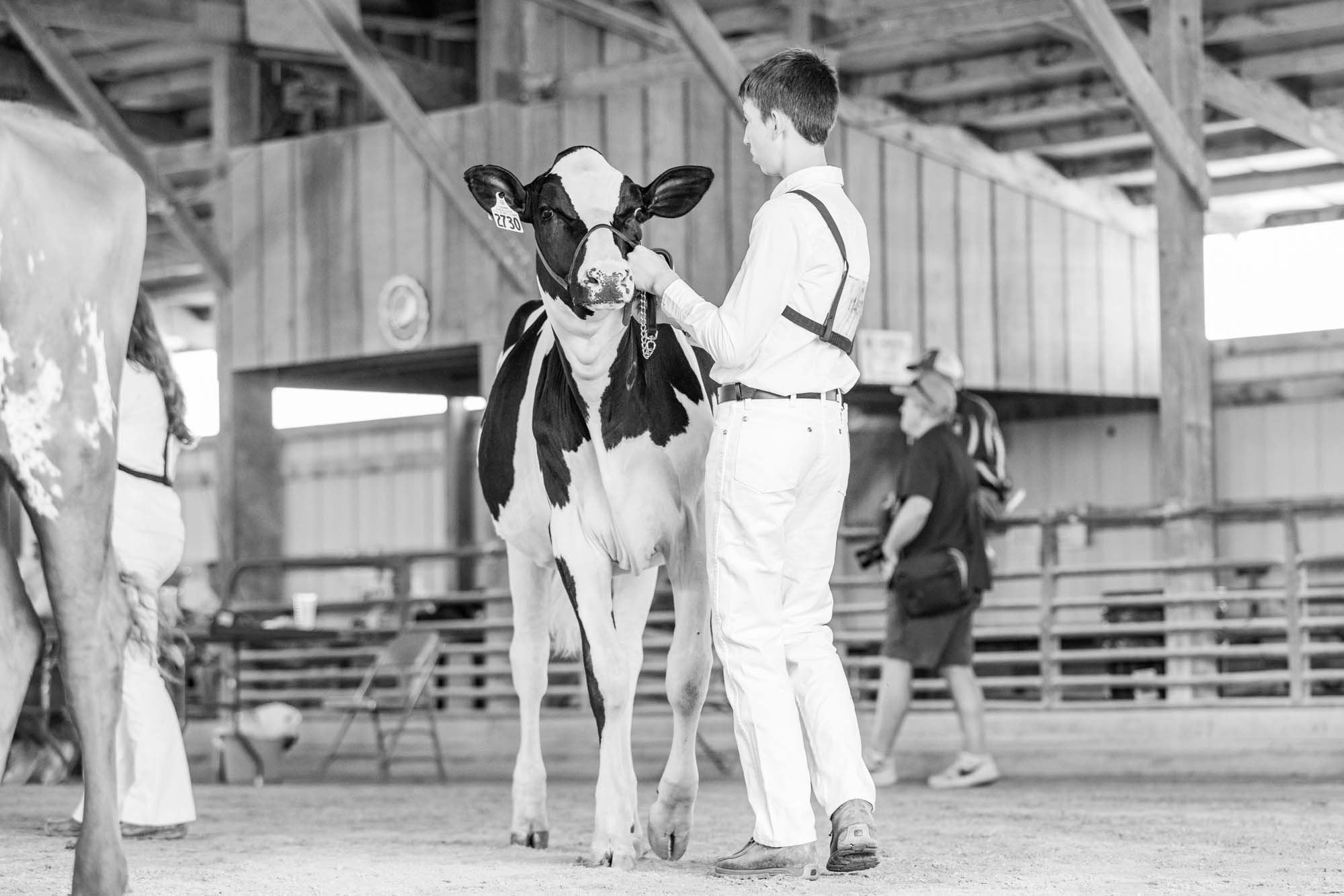 Jefferson County Fair 2025 Schedule Usa Jefferson County Fair 2025 Schedule Usa