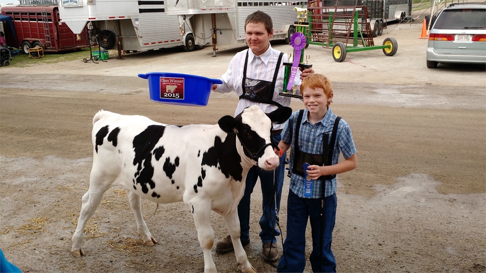 2015 Grand Champion Dairy Feeder Calf