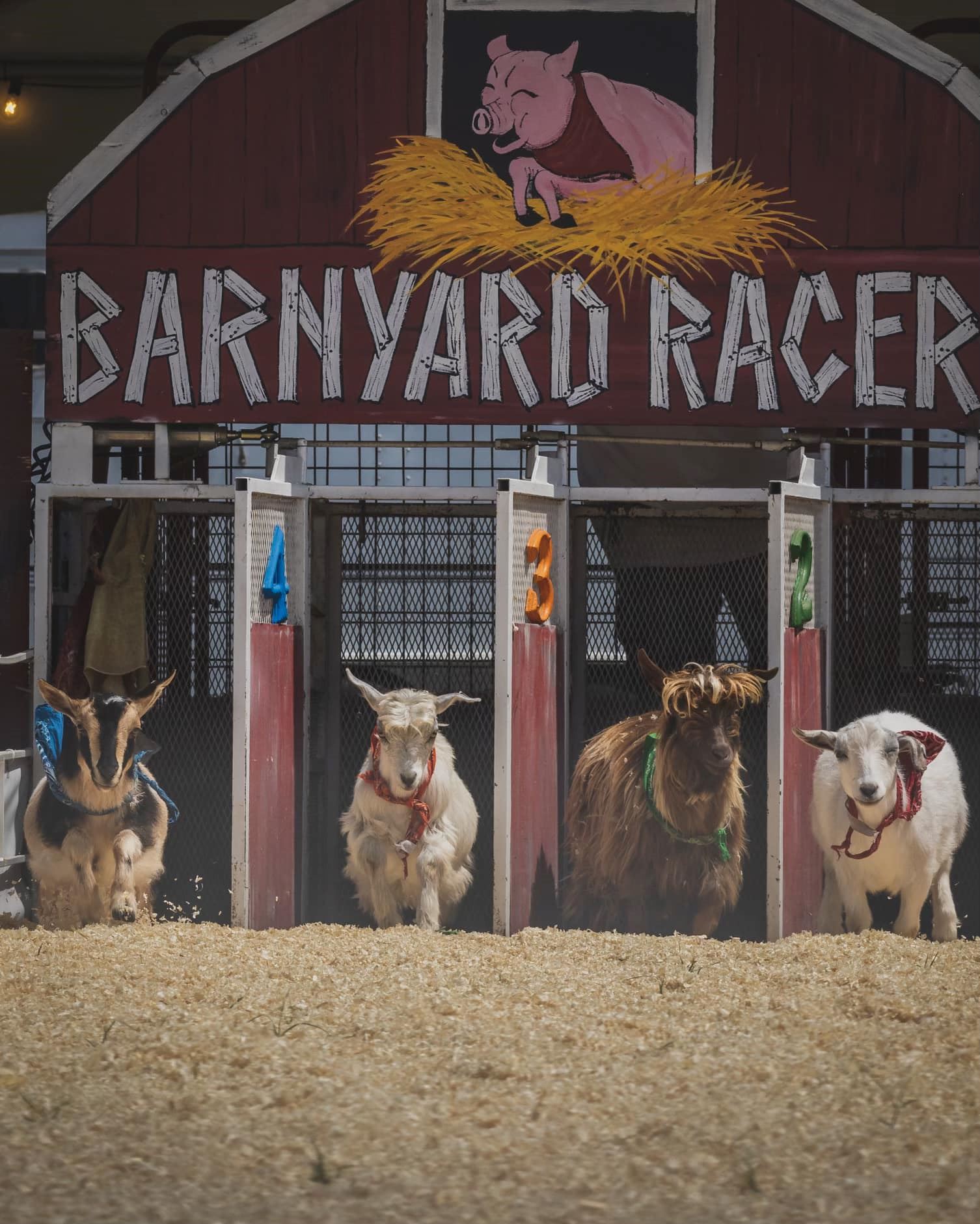 Barnyard Racers Fair