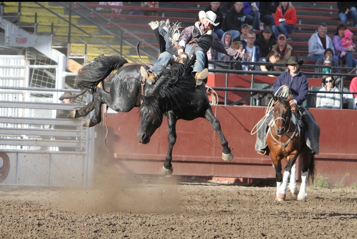 Bhrs Rodeo Bares N' Broncs
