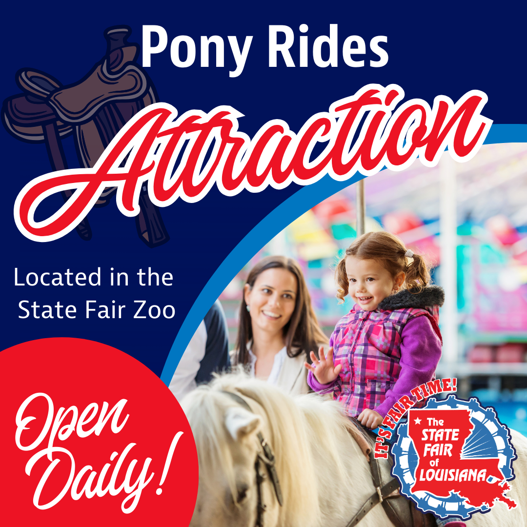Mlp Ride Pony Rides