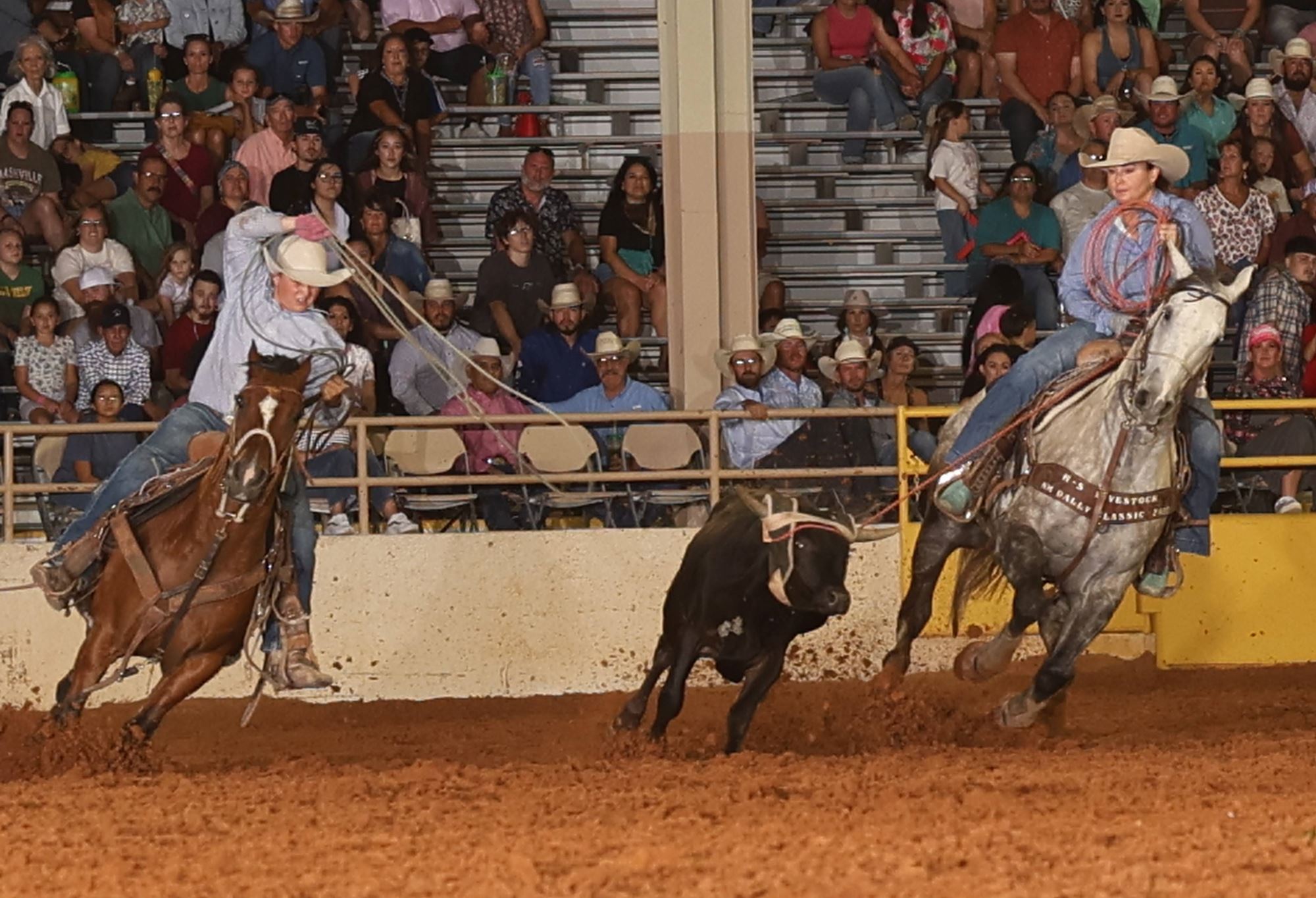 Local Team Roping